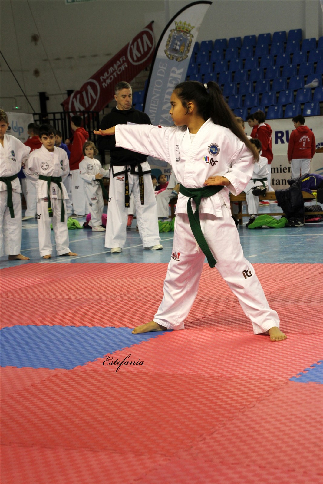 Taekwondo (63).jpg